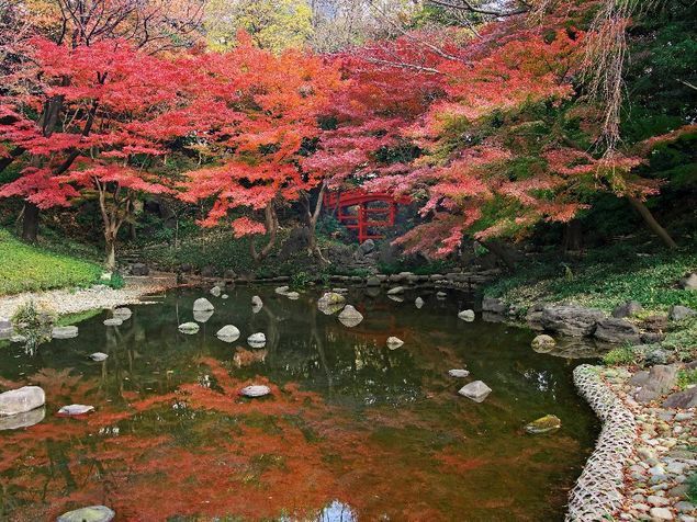 紅葉の秋！東京都内で紅葉が楽しめるスポットまとめ